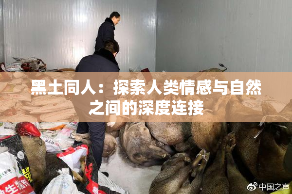 黑土同人：探索人类情感与自然之间的深度连接