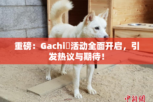 重磅：Gachi籣活动全面开启，引发热议与期待！