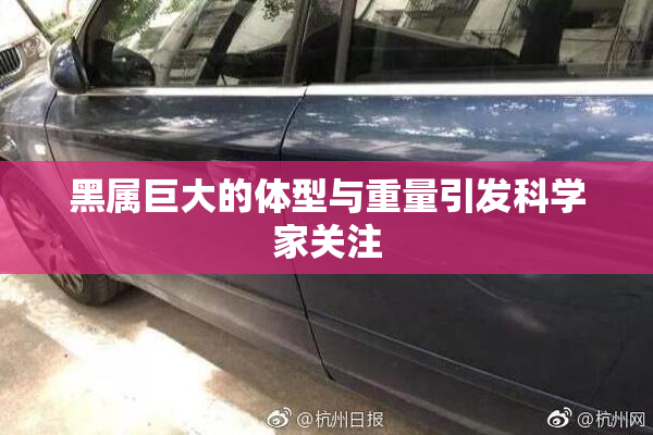 黑属巨大的体型与重量引发科学家关注