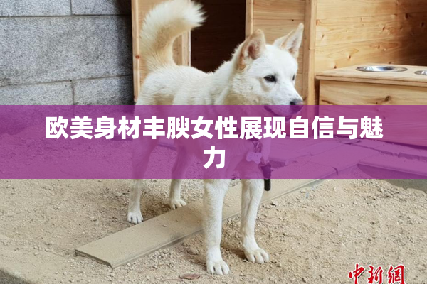 欧美身材丰腴女性展现自信与魅力
