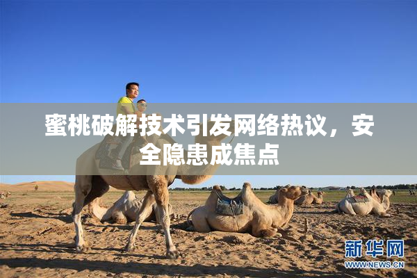 蜜桃破解技术引发网络热议，安全隐患成焦点