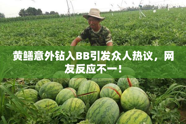 黄鳝意外钻入BB引发众人热议，网友反应不一！