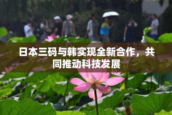 日本三码与韩实现全新合作，共同推动科技发展