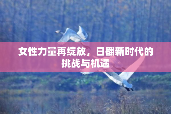 女性力量再绽放，日翻新时代的挑战与机遇