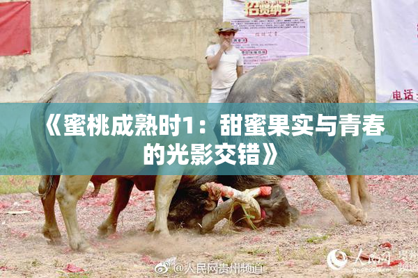 《蜜桃成熟时1：甜蜜果实与青春的光影交错》