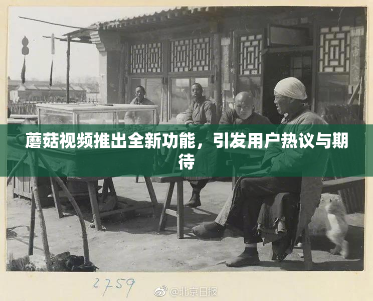 蘑菇视频推出全新功能，引发用户热议与期待