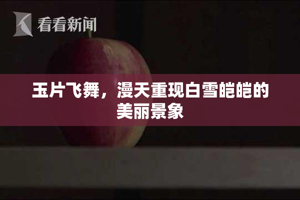 玉片飞舞，漫天重现白雪皑皑的美丽景象