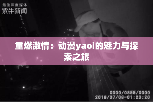 重燃激情：动漫yaoi的魅力与探索之旅
