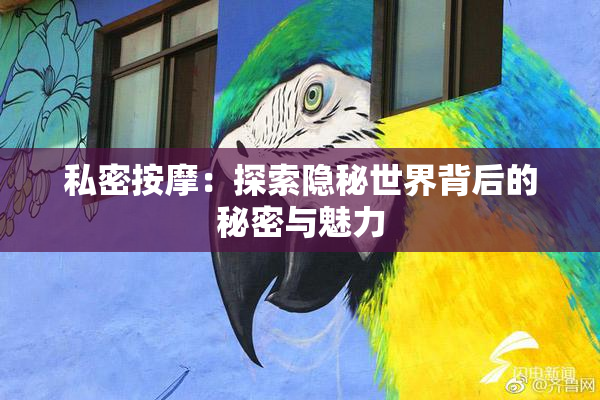私密按摩：探索隐秘世界背后的秘密与魅力
