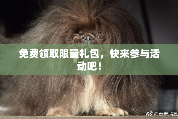 免费领取限量礼包，快来参与活动吧！
