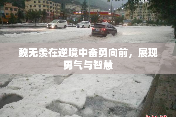 魏无羡在逆境中奋勇向前，展现勇气与智慧