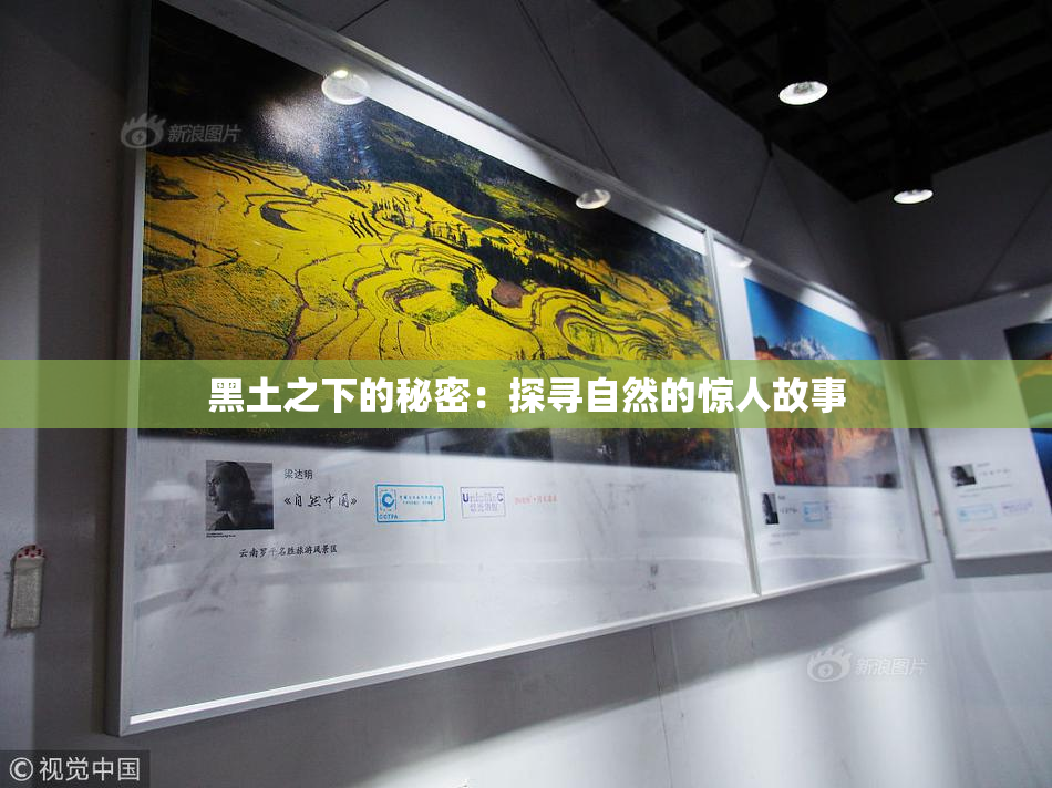 黑土之下的秘密：探寻自然的惊人故事