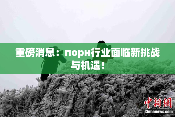 重磅消息：порн行业面临新挑战与机遇！