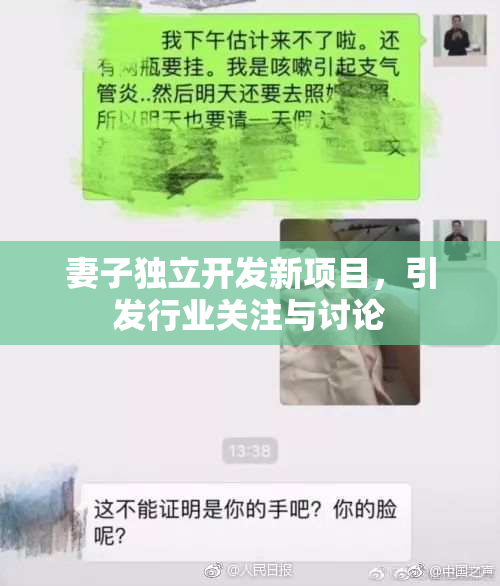 妻子独立开发新项目，引发行业关注与讨论