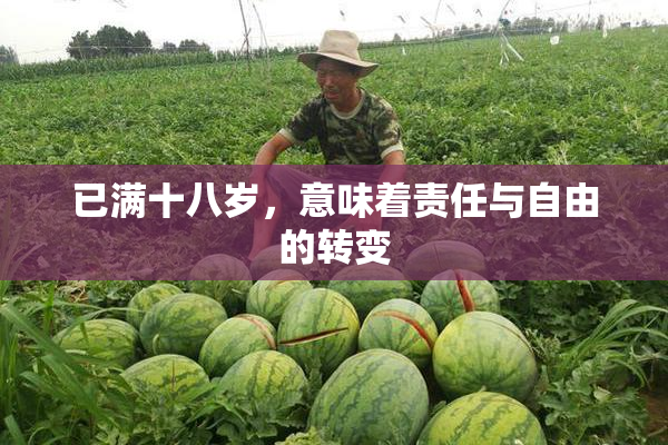 已满十八岁，意味着责任与自由的转变