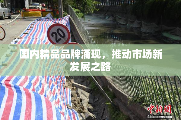 国内精品品牌涌现，推动市场新发展之路