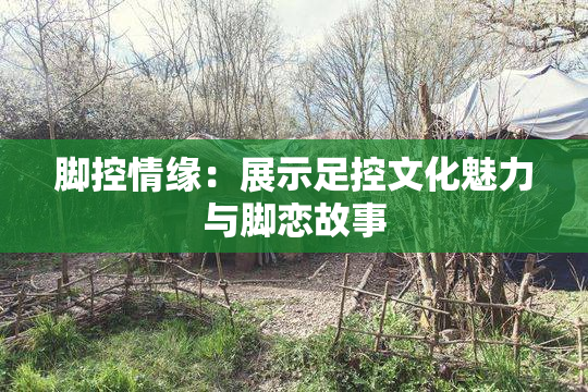 脚控情缘：展示足控文化魅力与脚恋故事