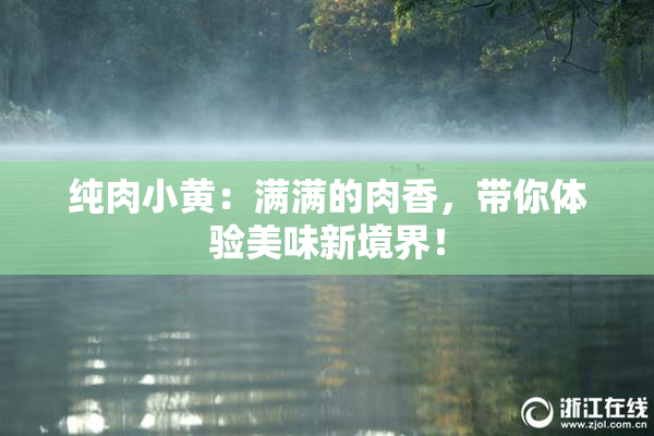 纯肉小黄：满满的肉香，带你体验美味新境界！