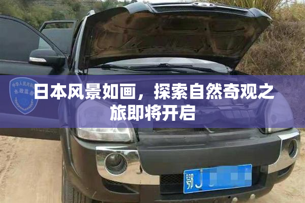日本风景如画，探索自然奇观之旅即将开启