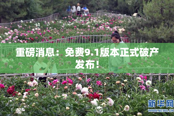 重磅消息：免费9.1版本正式破产发布！
