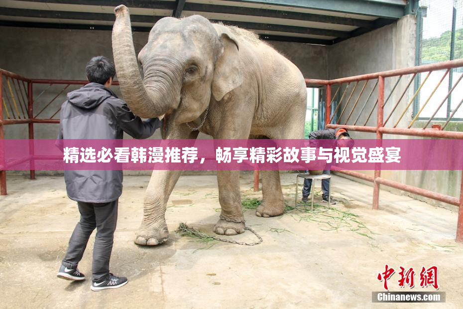 精选必看韩漫推荐，畅享精彩故事与视觉盛宴
