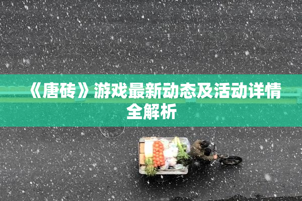 《唐砖》游戏最新动态及活动详情全解析