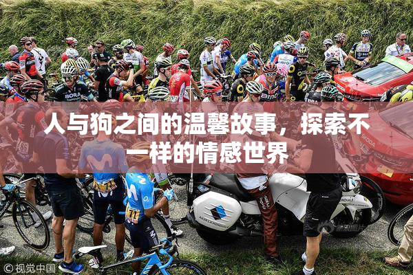 人与狗之间的温馨故事，探索不一样的情感世界