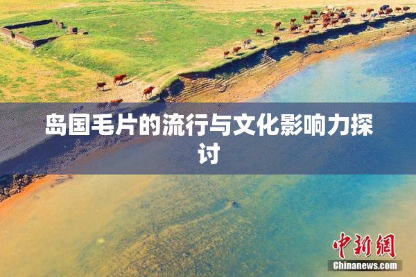 岛国毛片的流行与文化影响力探讨