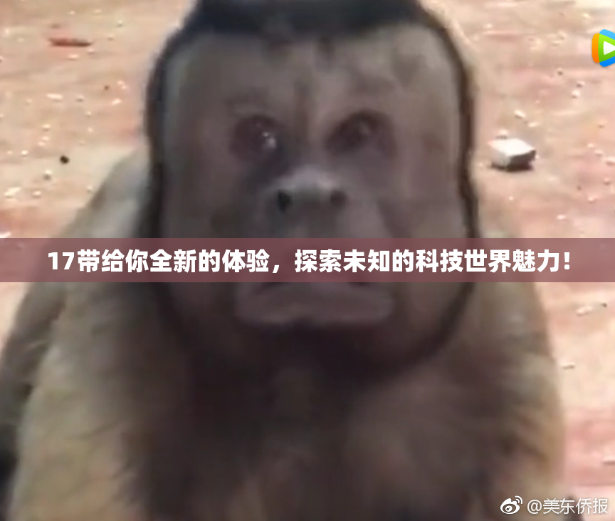 17带给你全新的体验，探索未知的科技世界魅力！