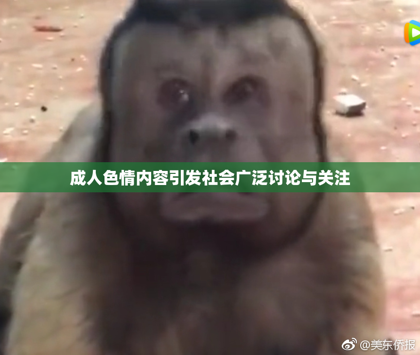 成人色情内容引发社会广泛讨论与关注