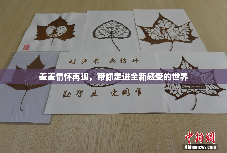 羞羞情怀再现，带你走进全新感受的世界
