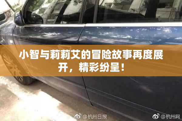 小智与莉莉艾的冒险故事再度展开，精彩纷呈！