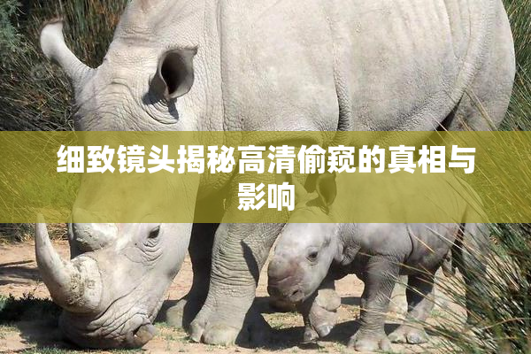 细致镜头揭秘高清偷窥的真相与影响