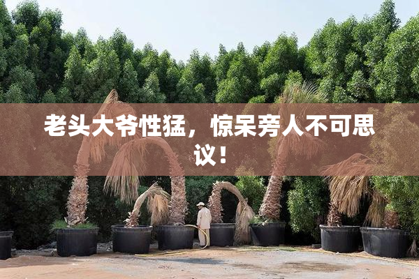 老头大爷性猛，惊呆旁人不可思议！