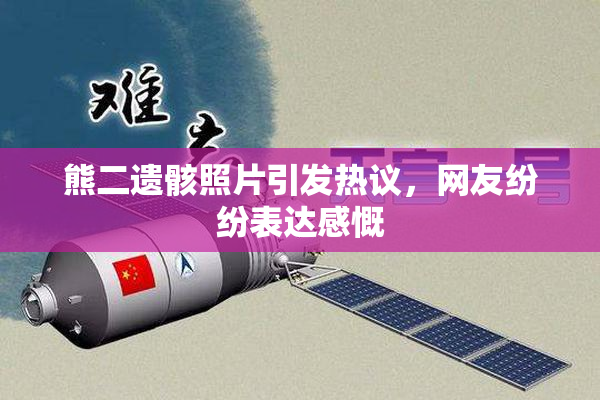熊二遗骸照片引发热议，网友纷纷表达感慨