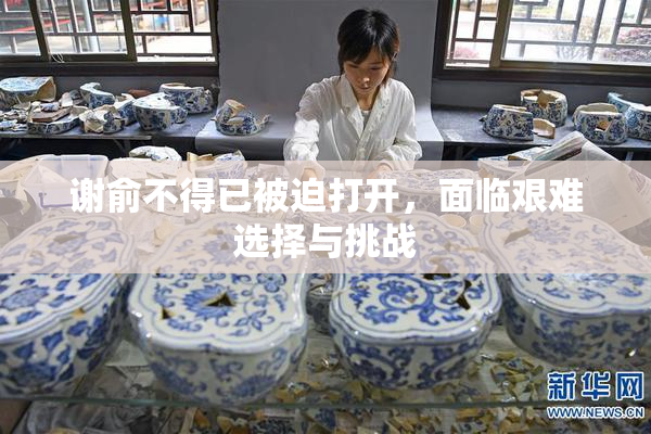 谢俞不得已被迫打开，面临艰难选择与挑战