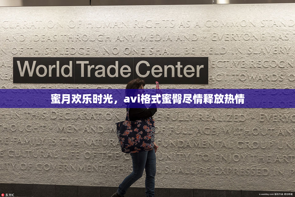 蜜月欢乐时光，avi格式蜜臀尽情释放热情