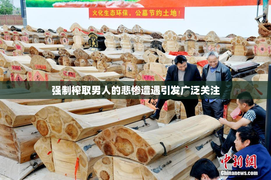 强制榨取男人的悲惨遭遇引发广泛关注