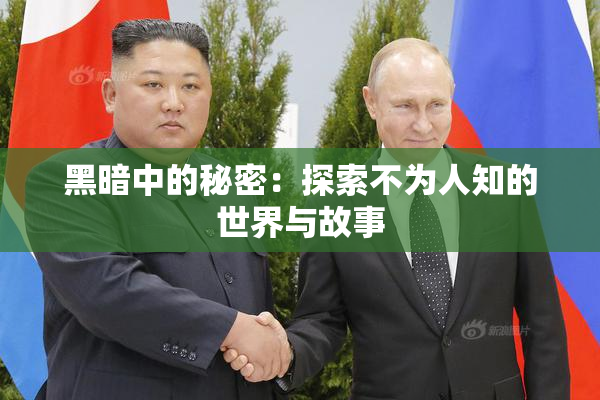 黑暗中的秘密：探索不为人知的世界与故事