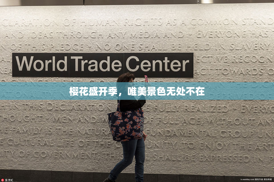 樱花盛开季，唯美景色无处不在
