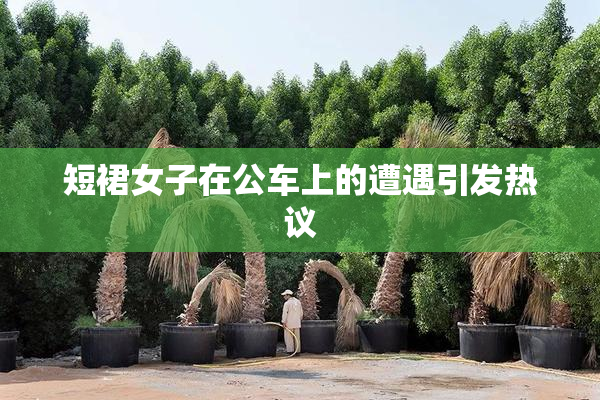 短裙女子在公车上的遭遇引发热议