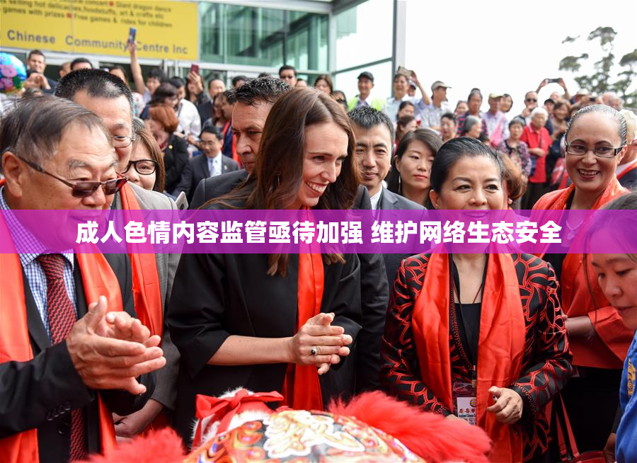成人色情内容监管亟待加强 维护网络生态安全
