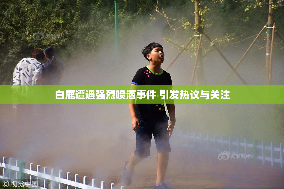 白鹿遭遇强烈喷洒事件 引发热议与关注