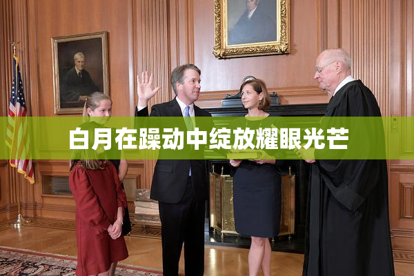 白月在躁动中绽放耀眼光芒