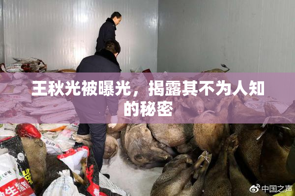 王秋光被曝光，揭露其不为人知的秘密