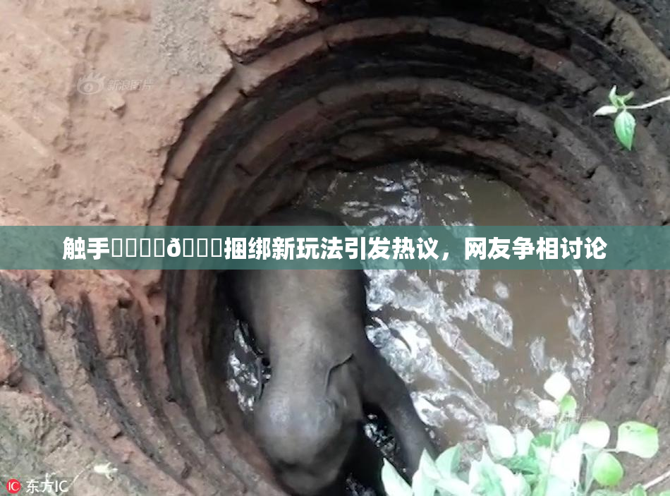 触手❌‌❌‌🔞捆绑新玩法引发热议，网友争相讨论