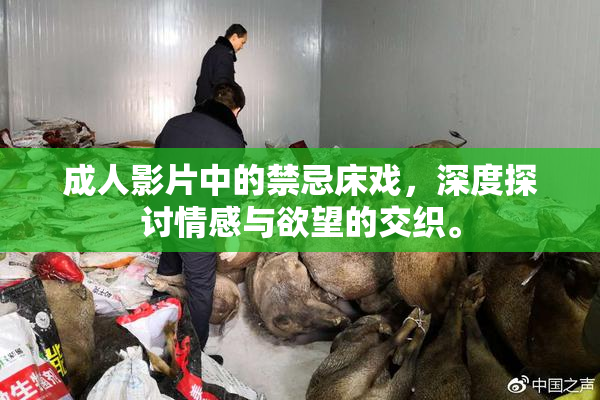 成人影片中的禁忌床戏，深度探讨情感与欲望的交织。