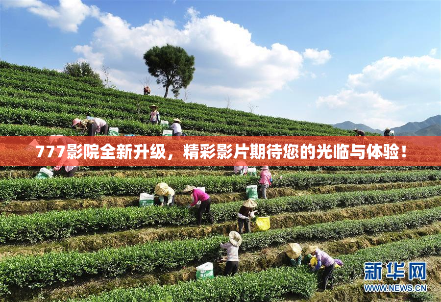 777影院全新升级，精彩影片期待您的光临与体验！
