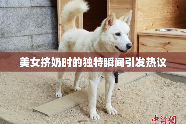 美女挤奶时的独特瞬间引发热议