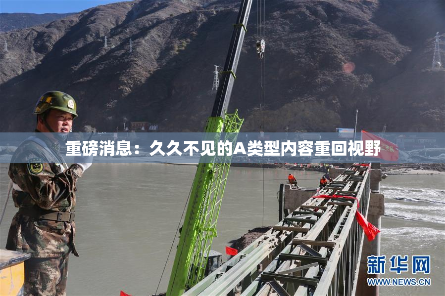 重磅消息：久久不见的A类型内容重回视野